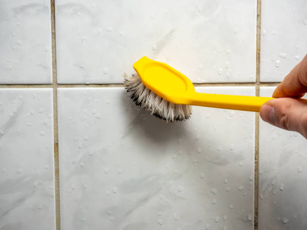 Best Black Mold Removal  in Dunedin, FL